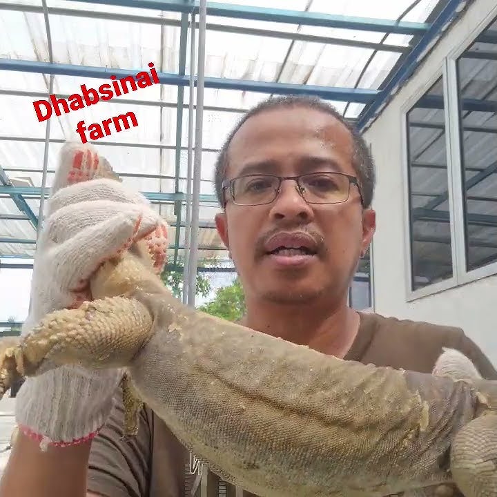 DHAB HALAL DIMAKAN
