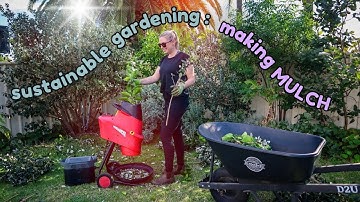 Feijoa pruning, mulching & garden update! Taking my Sustainable Gardening to the NEXT LEVEL!