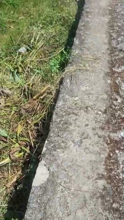 sembalun lombok #shorts #viral #tiktok #sembalunlombok