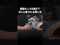 センスOすぎて愛犬に心配される飼い主 　　　　　#グリィちゃんねる #トイプードル