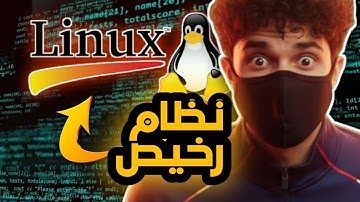 ليش الشركات الكبار يستخدموا هالنظام الرخيص؟