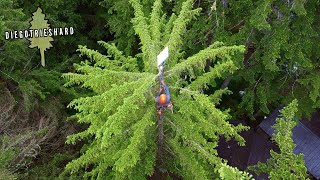 Installing Starlink In a 100 Foot Tree!