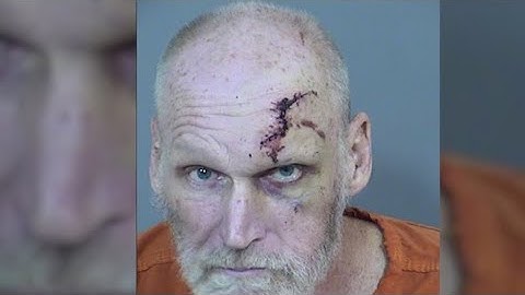 Man stopped for jaywalking points gun at Mesa officers, is shot by police: report