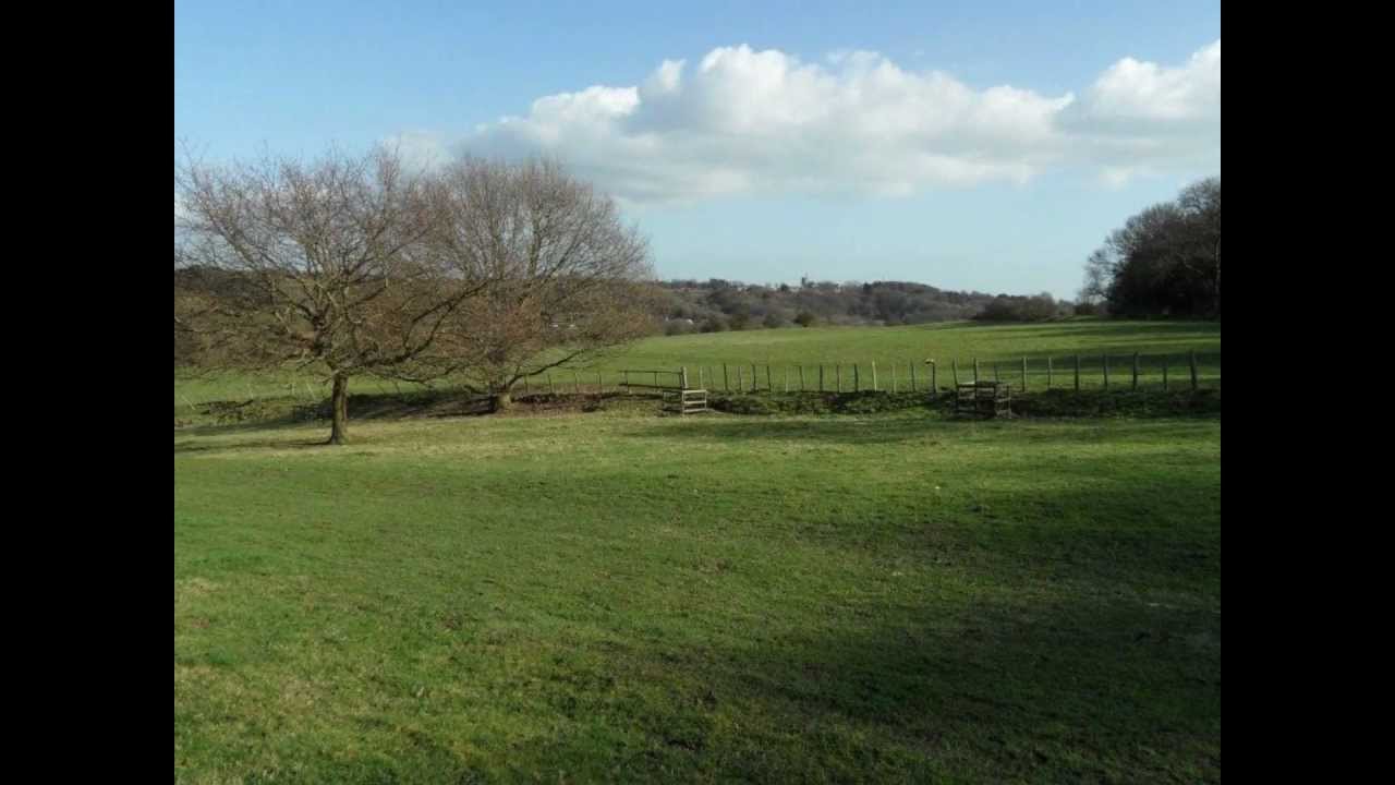 Holiday Photos of Folkestone