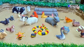 Muddy Adventures: Learn Domestic Animals Names & Sounds | Kidiez World TV