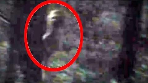A real alien cought on camera in jungle [fake or real] ?????