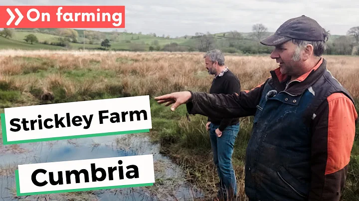 Dairy farm beck re-naturalisation project - James Robinson, Strickley Farm, Cumbria