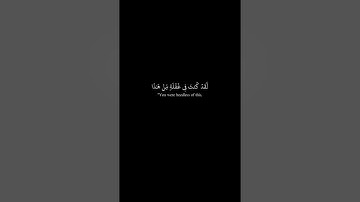 القارئ : ياسر الدوسري ، سورة ق آية [ 18 - 29 ]