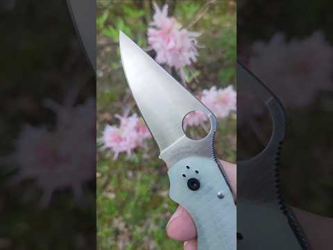 COMING SOON! Spyderco Exclusive!   