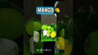 Daily Vlog🥹🥹#hindisong #creative #trendingshorts #trend #bhojpuri #youtubeshorts #coversong #short