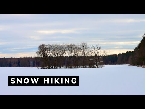 Winter Hiking in the Blumenthal forest - Germany