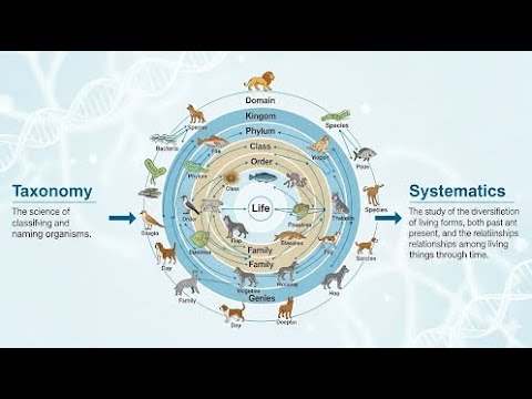 Lecture 1.System of Biological Classification. What is meant by ...