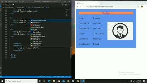How to make Bio-data using HTML  language  by table tag