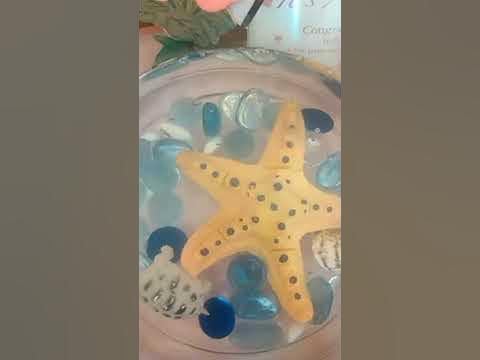 Little tine fish her name is pink 🐟 - YouTube