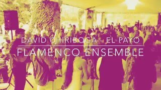 Recuerdo Apasionado - Tonino (Performed by El Payo Flamenco Ensemble)