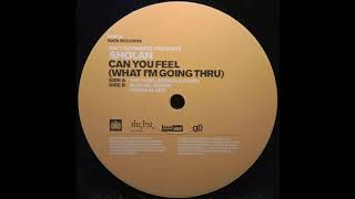 Matt Schwartz presents Sholan - Can You Feel (What I&#39;m Going Thru) (The Thrillseekers Remix) (2002)