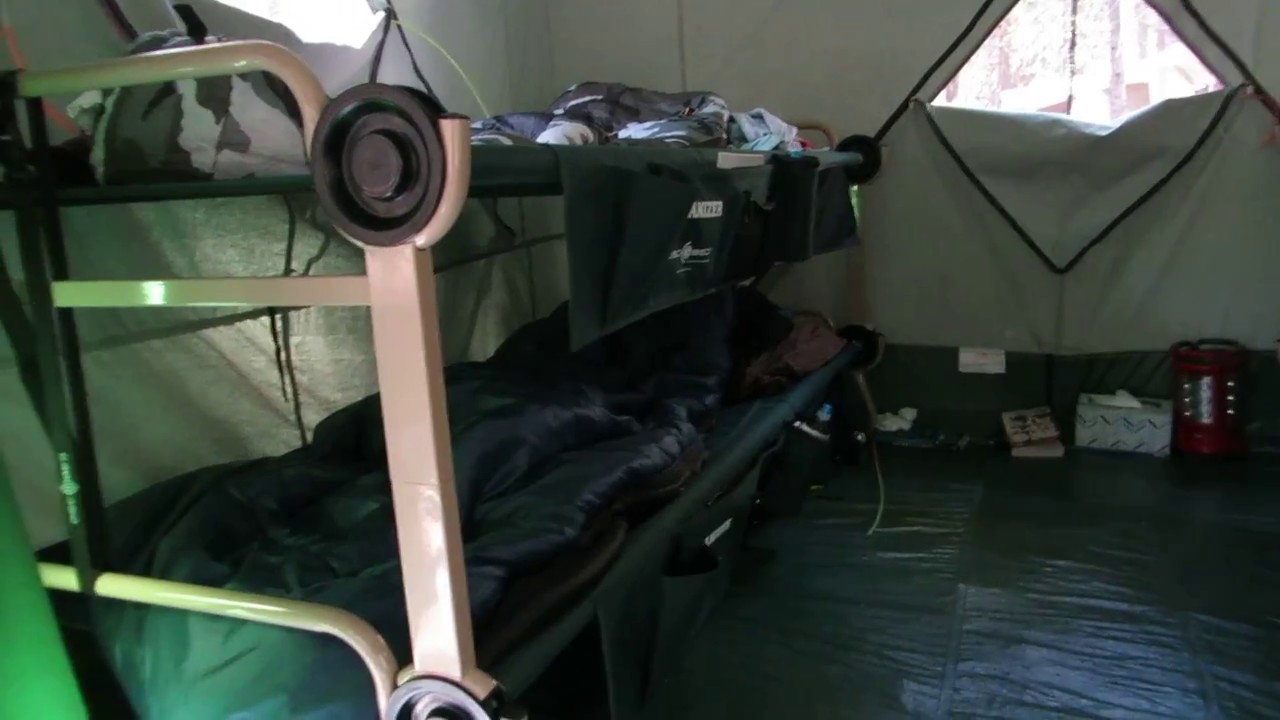 bunk bed cots costco