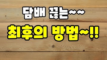 20년 하루2갑 골초가 담배끊은 방법 공개!!