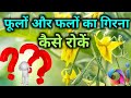 Flower and fruit dropping problem discussed with proper solution to each scenario
