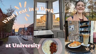 What I eat in a week at University - realistic veggie/vegan meal ideas 🫶🏻