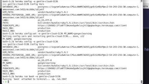 Heroku Tutorials: Heroku Toolbelt Commands