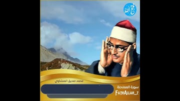 محمد صديق المنشاوي / رحمه الله  سورة الممتحنة