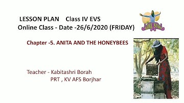 Anita and the honeybees