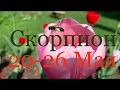 Скорпион. 20-26 Мая 🌷 Таро-прогноз