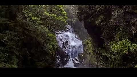 عشائية تفوق الوصف للشيخ محمد اللحيدان روائع التلاوات