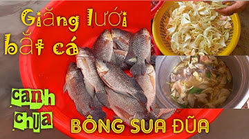 Bắt cá về nấu bửa ăn chà bá ở Miền Tây, canh chua Bông Sua Đũa - Khám phá đặc sản Miền Tây