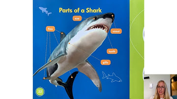 Nonfiction Text Features