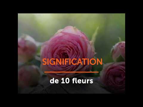 Vidéo: Que signifie fleuri ?