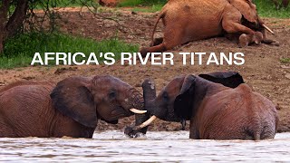 AFRICAS RIVER TITANS  TRAILER / CREDITS  2024.04.23