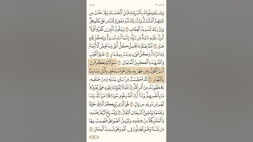 سورة الرعد من آيه 8-10 مكرره #قرآن #fyp