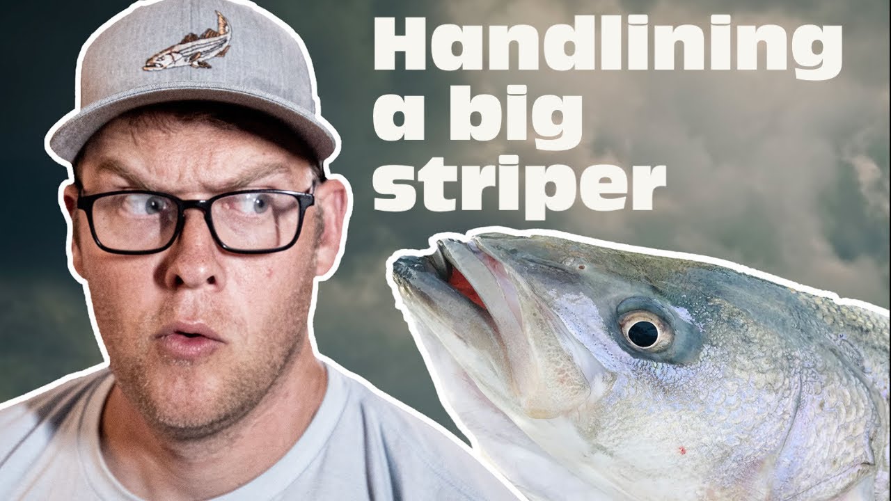 Catching big striper (Boone Lake Tn) YouTube