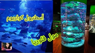 اكواريوم اسطنبول | lstanbul aquarium /اكبر حوض أسماك في تركيا/أغرب مول في العالم/مول فلوريا اسطنبول