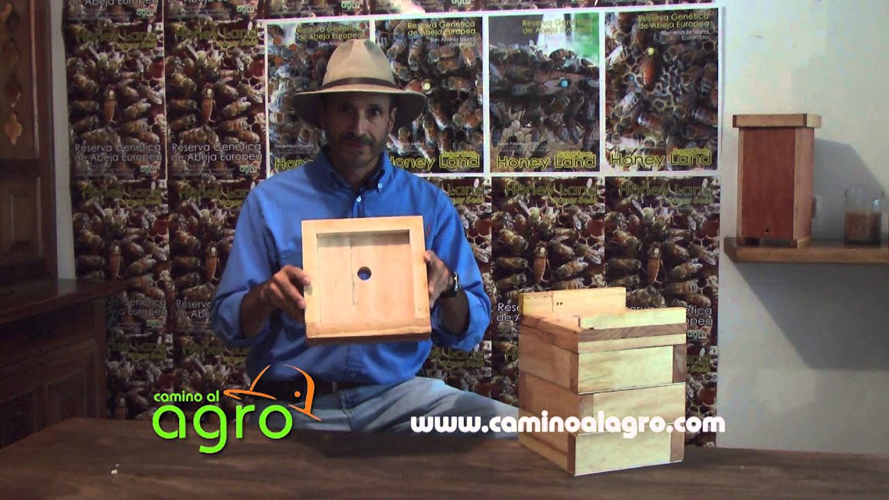 Abejas Meliponas Capítulo 2