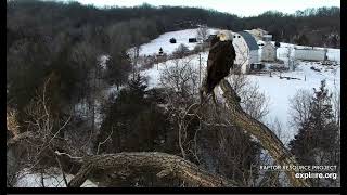 Decorah Eagles 2-5-22, 4:15 pm Mom on the Y, great colors, gorgeous sky