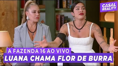 🚨A FAZENDA 16 AO VIVO: ELIMINAÇÃO, LUANA E FLOR SÃO ELIMINADAS COM 8% E 15% | 12/12/2024