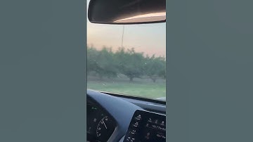 A red and white guyed FM tower in Trenton, South Carolina that has modern 300mm beacons