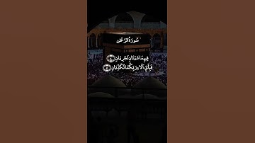 لِمَنْ خَافَ مَقَامَ رَبِّهِ جَنَّتَانِ 🥀 سورة الرحمن |على جابر تلاوة مؤثرة بصوت جميل جدا ⚘️