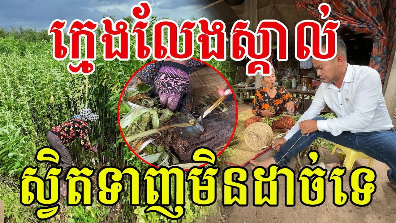 ក្មេងឥឡូវលែងស្គាល់ហើយ ស្វិតល្អណាស់ ថ្ងៃនេះមានសំណាងបានឃើញផ្ទាល់