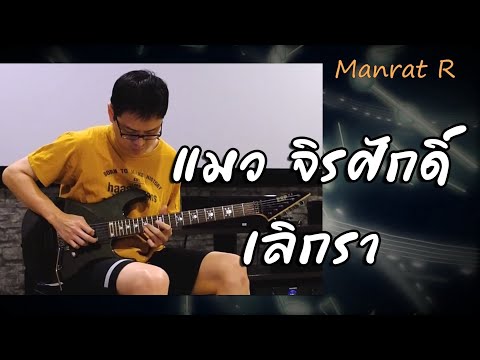 แมว จิรศักดิ์-เลิกรา-Guitar Solo Cover