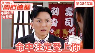 Come Home Love: Lo and Behold | Episode 2843 Full Version | Fated to Love You | Lau Dan, Koni Lui...