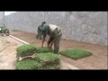 Instalación de Césped - Grass americano - www.viverochaclacayo.com.pe