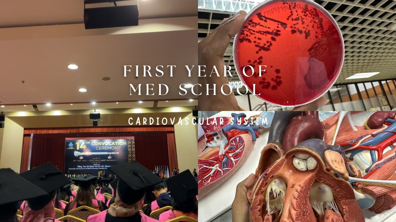 Cardiovascular System Recap I Med School Vlog I AIMST University ...