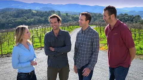Amizetta Estate Winery: One of Napa Valleys Steepe...