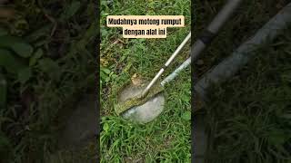 Kreasi mesin potong rumput #petanimilenial #berkebun #gulma #pemotongrumput #pembasmigulma #farming