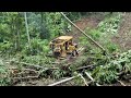 Cat d6r xl bulldozer repairs decades of abandoned land