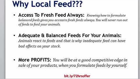 Catfish Feed Formulation: How To Maximize Your Profit Using Catfish Local Feed Formula